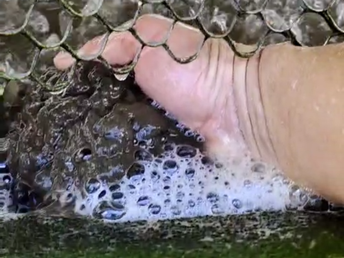 循环冷却水系统中的沉积物是如何形成的-沉积物的危害-微生物的危害