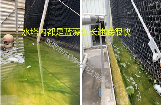 循环水系统微生物的形成与危害-循环水系统不按时清洗会发生什么-微生物有什么危害