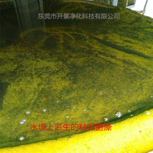 循环水系统产生菌藻及粘泥的原因-循环水系统为什么会有菌藻和粘泥-循环水系统里有菌藻和粘泥该怎么处理
