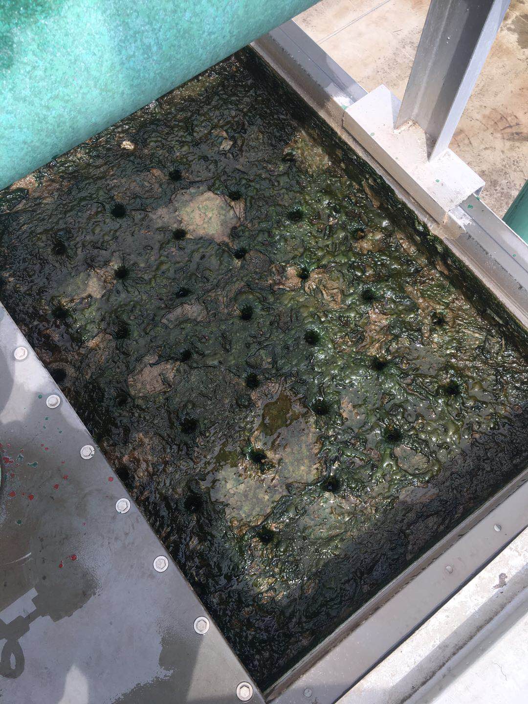 工业循环水处理找哪家开景公司为你服务-空调水处理-中央空调循环水处理-工业循环水处理